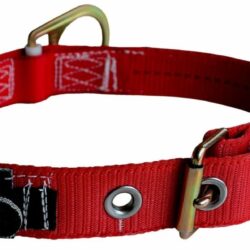 3M Protecta Belt