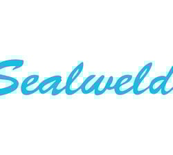 Sealweld 420060 Carrying Case for SGUN or HGUN - Plastic