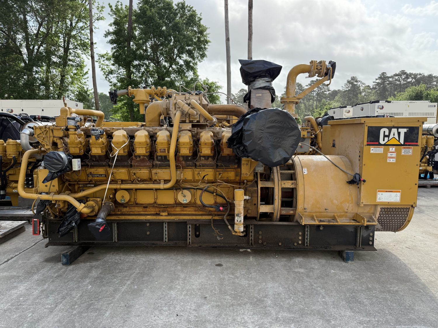 IMG 5500 1500x1125 1