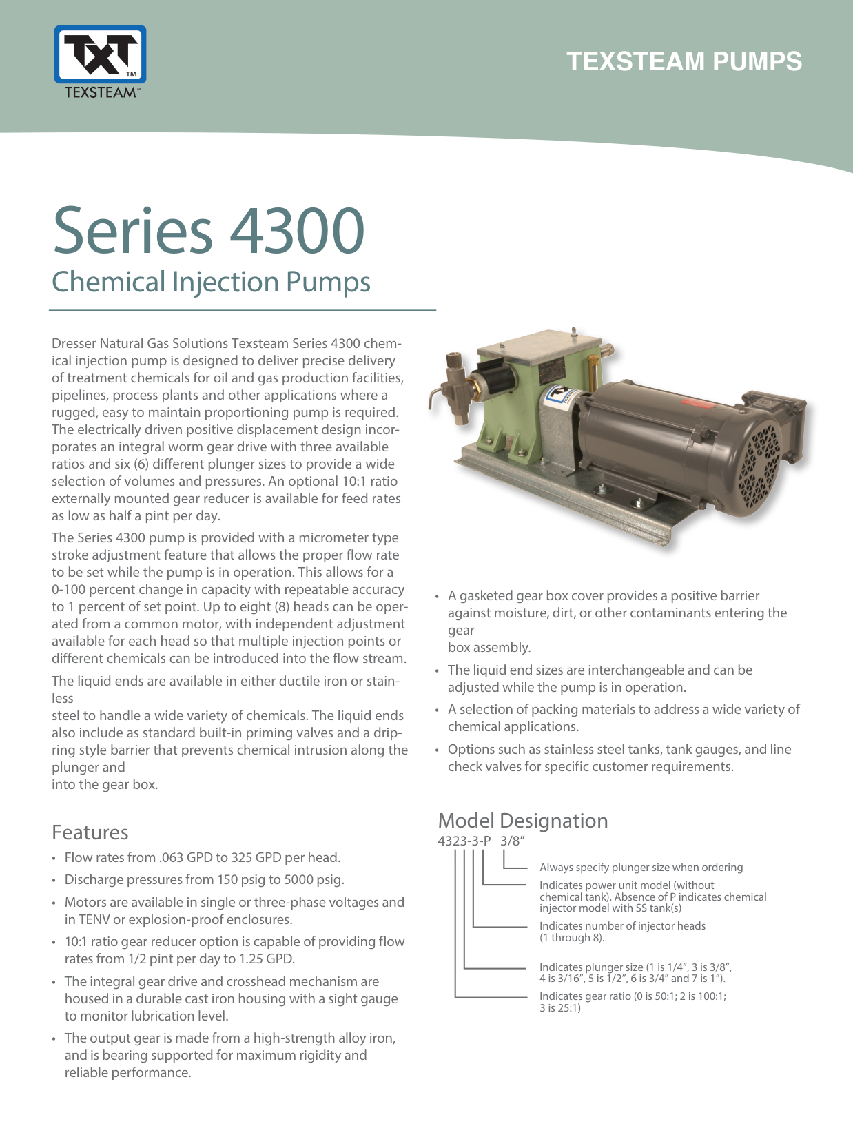 Texsteam Series 4300 Chemical Injection Pump