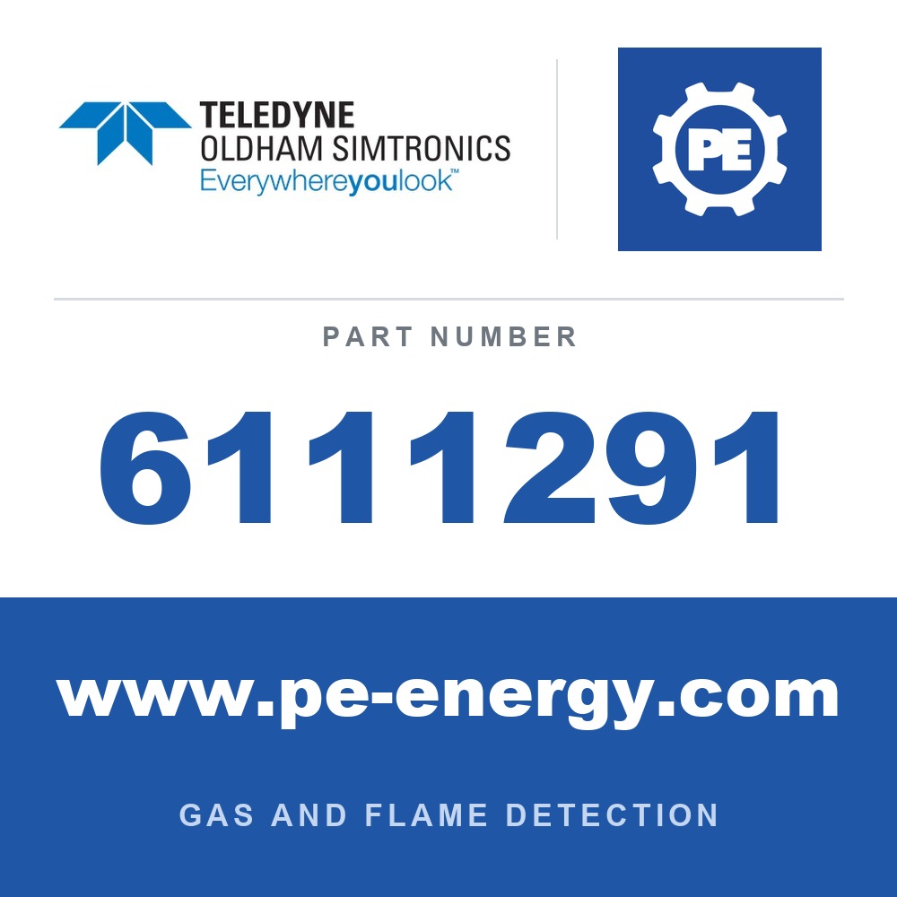 Oldham Simtronics 6111291 - Oldham Simtronics 6111291 UNINTERRUPTIBLE POWER SUPPLY EV 24V 8A C85 SB, without battery - capacity 15 à 40Ah, output 24V
