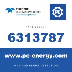 Oldham Simtronics 6313787 - Oldham Simtronics 6313787 CO, Carbon Monoxide 0-1000 ppm, mini