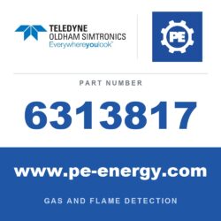 Oldham Simtronics 6313817 - Oldham Simtronics 6313817 O2, Oxygen 0-30% Vol. mini