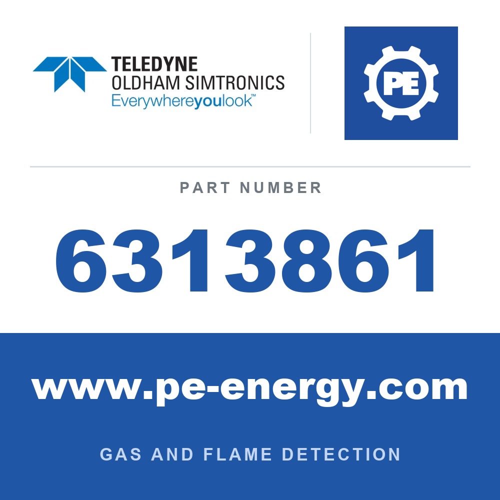 Oldham Simtronics 6313861 - Oldham Simtronics 6313861 Stainless steel sensor sealing plug (require if there no XP sensor)