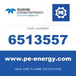 Oldham Simtronics 6513557 - Oldham Simtronics 6513557 CTX300 detector with display - without sensor Please specify gas and range