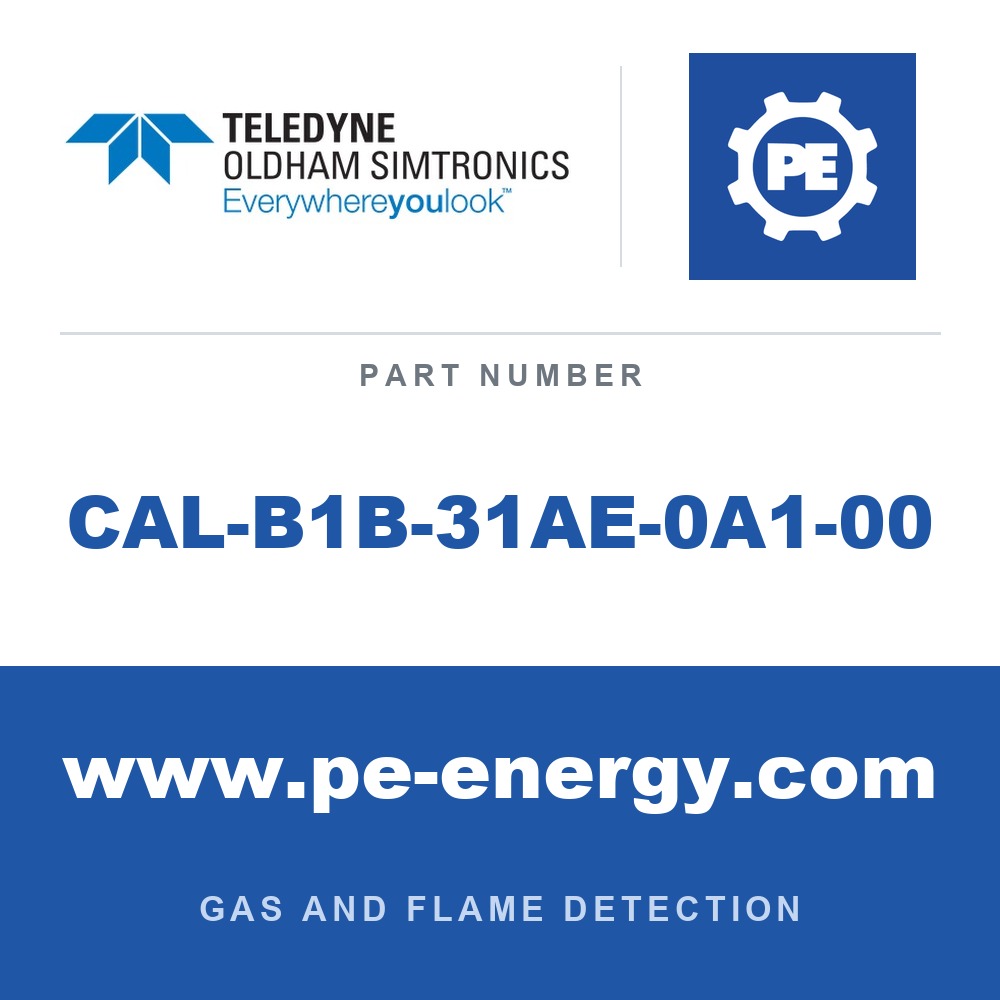 Oldham Simtronics CAL-B1B-31AE-0A1-00 - Oldham Simtronics CAL-B1B-31AE-0A1-00 H2S, Hydrogen Sulfide 20 ppm AIR 60L (60DA)