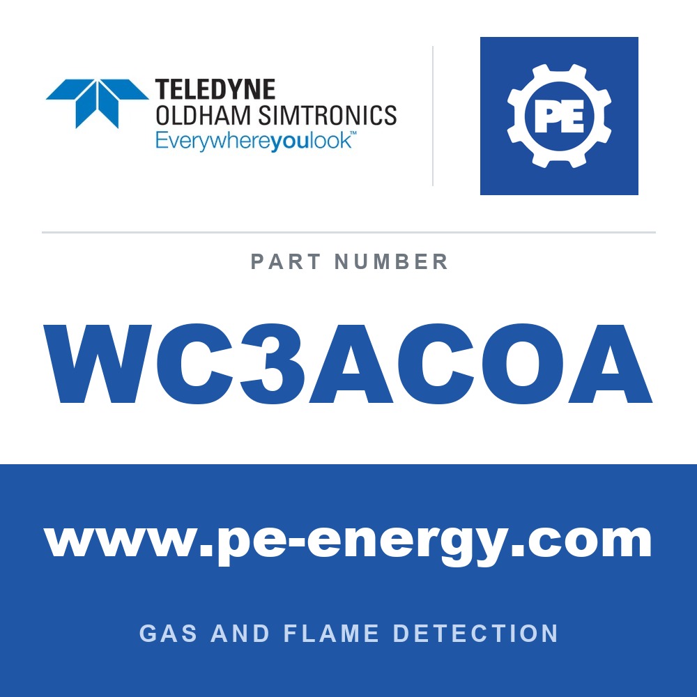Oldham Simtronics WC3ACOA - Oldham Simtronics WC3ACOA CTX 300 with display CO, Carbon monoxide 0-100 ppm