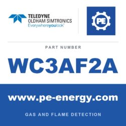 Oldham Simtronics WC3AF2A - Oldham Simtronics WC3AF2A CTX 300 with display F2, Fluorine 0-1 ppm