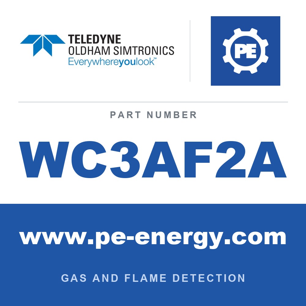Oldham Simtronics WC3AF2A - Oldham Simtronics WC3AF2A CTX 300 with display F2, Fluorine 0-1 ppm