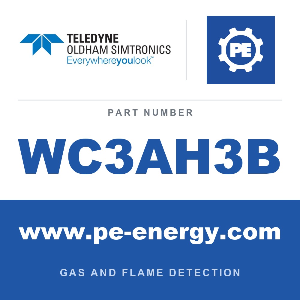 Oldham Simtronics WC3AH3B - Oldham Simtronics WC3AH3B CTX 300 with display H2, Hydrogen 0-4% Vol.