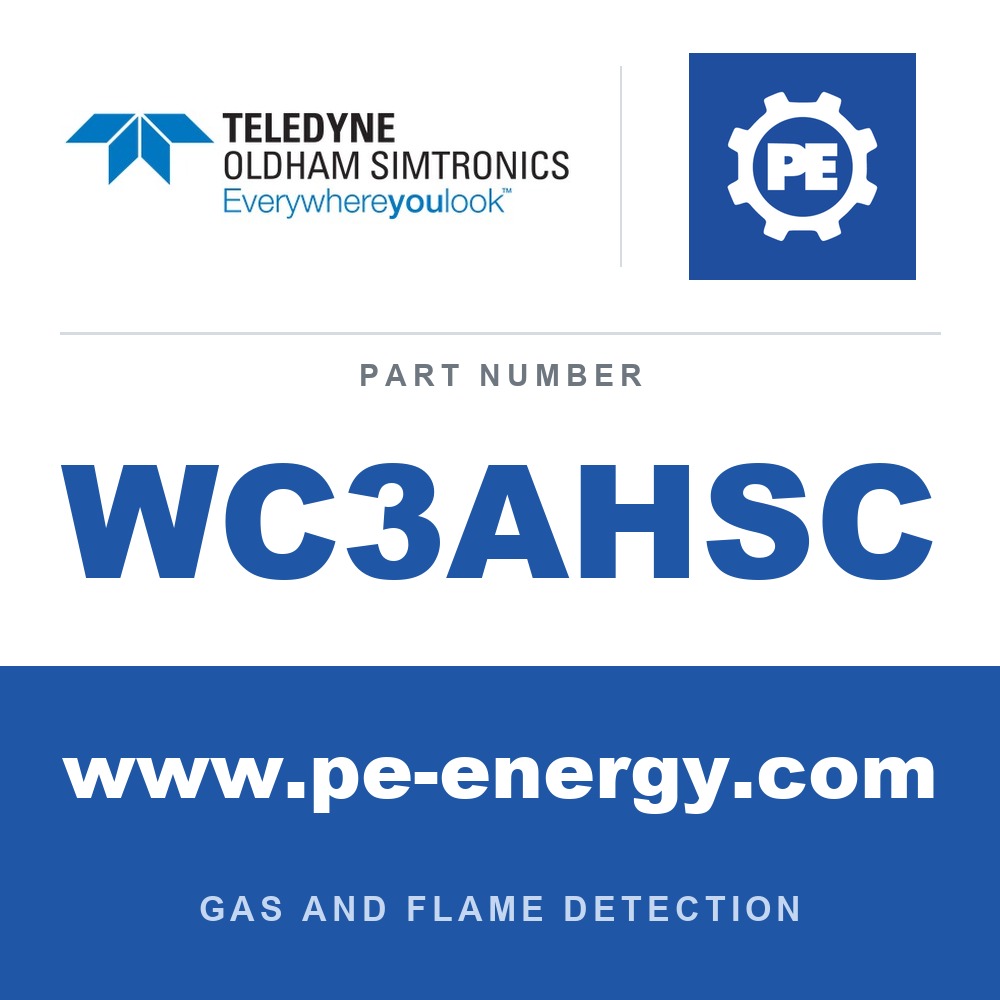 Oldham Simtronics WC3AHSC - Oldham Simtronics WC3AHSC CTX 300 with display H2S, Hydrogen sulfide 0-1000 ppm