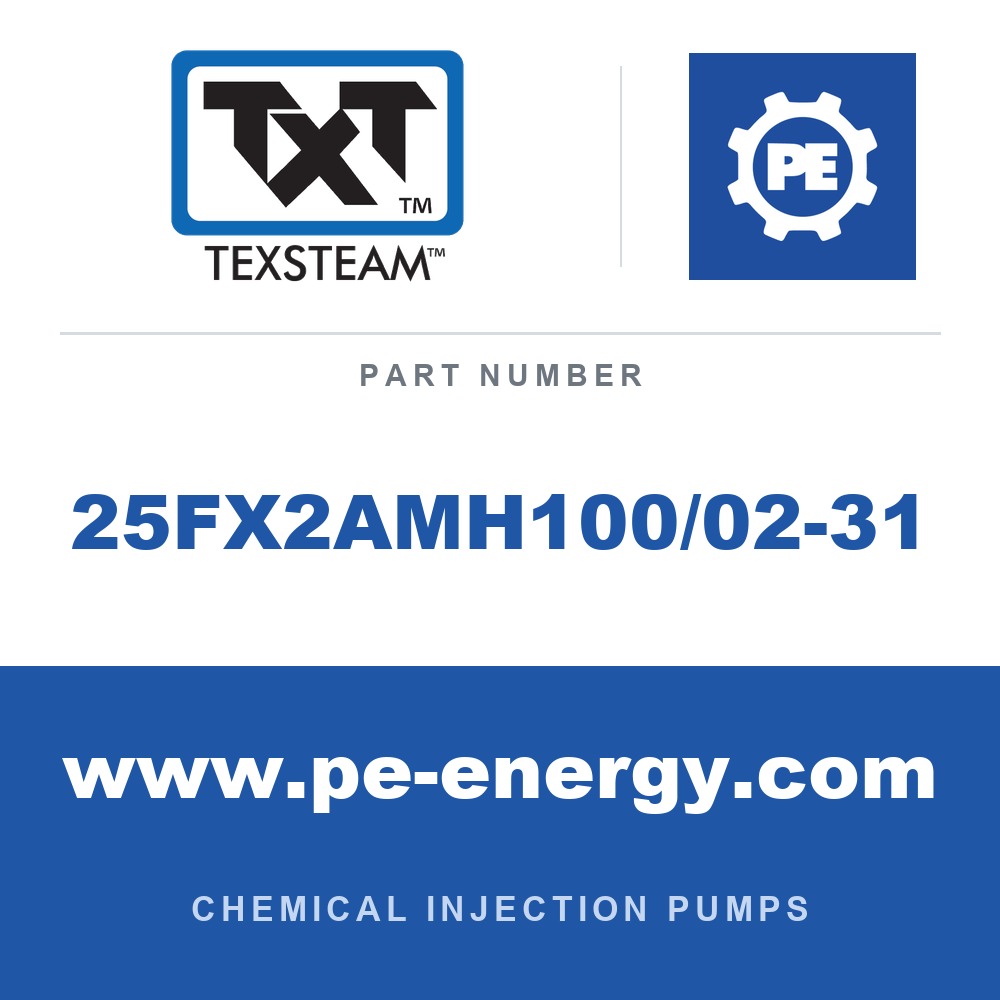 Texsteam 25FX2AMH100/02-31 - Texsteam 25FX2AMH100/02-31 Pump - 25F PUMP DUPX 3/8 SS B-TEF/BUN 1/4 SS BUN/BUN 30:1