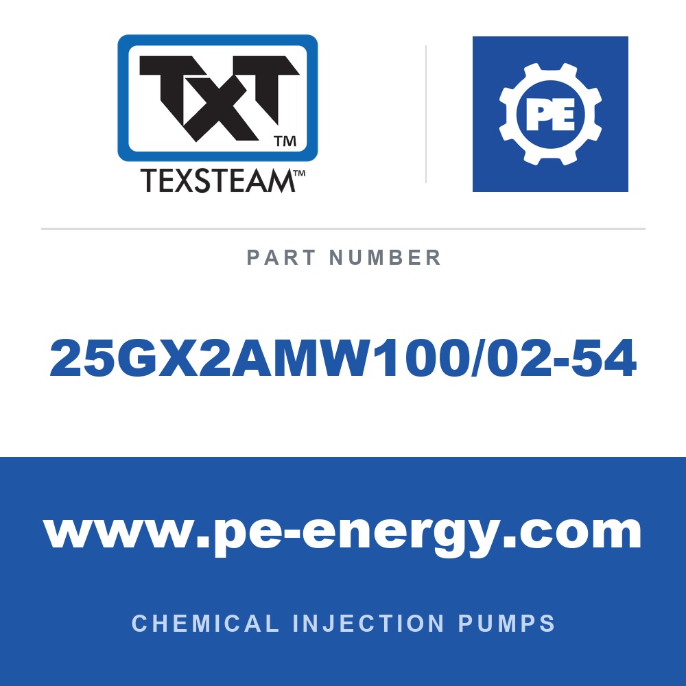Texsteam 25GX2AMW100/02-54 - Texsteam 25GX2AMW100/02-54 Pump - 25GX PMP DPLX, 1/2 B-T/B, 3/16 SS B/B, 60:1, W/B