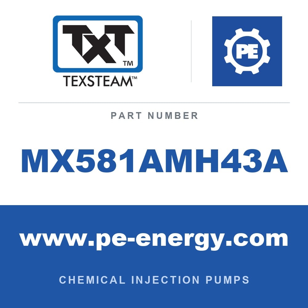 Texsteam MX581AMH43A - Texsteam MX581AMH43A Pump - MX58-1 PUMP SS TEF/TEF SPLX STD