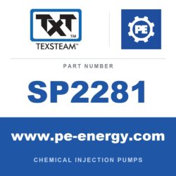 Texsteam SP2281 - Texsteam SP2281 Motor - ASSY. ELECTRIC MOTOR 65 RPM