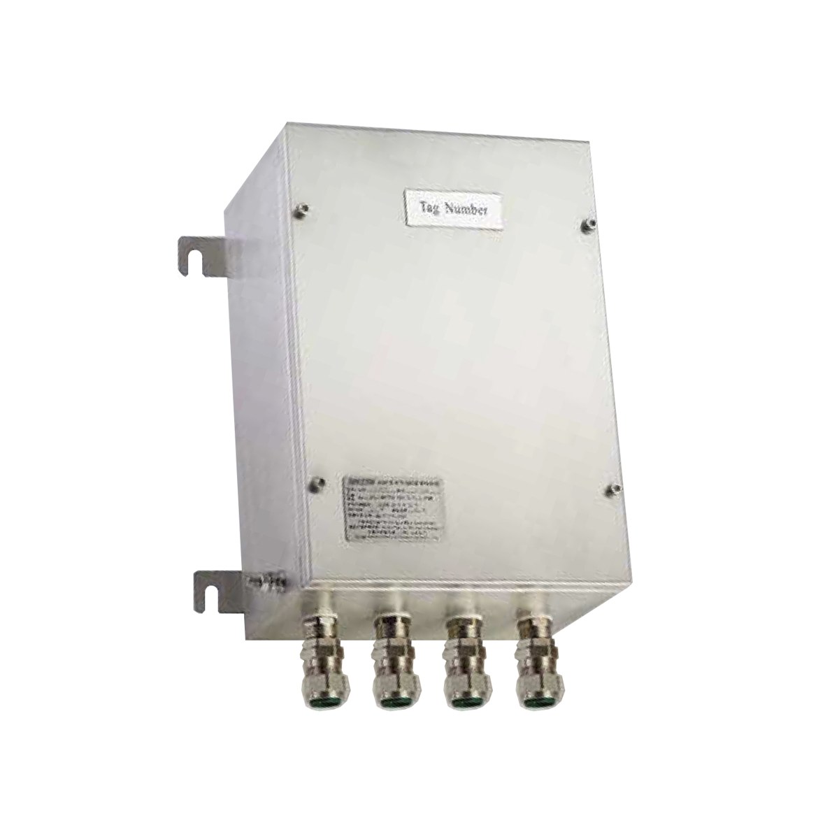 Appleton ASSE Series Stainless Steel Enclosure