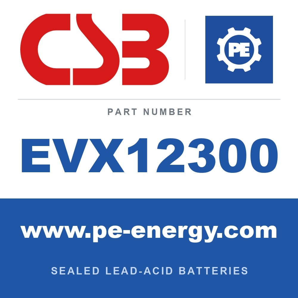 CSB Battery EVX12300 - CSB EVX12300 12V 30Ah Sealed Lead-Acid Battery